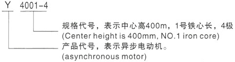 西安泰富西玛Y系列(H355-1000)高压YJTG-112M-2A/4KW三相异步电机型号说明