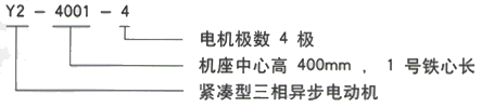 YR系列(H355-1000)高压YJTG-112M-2A/4KW三相异步电机西安西玛电机型号说明